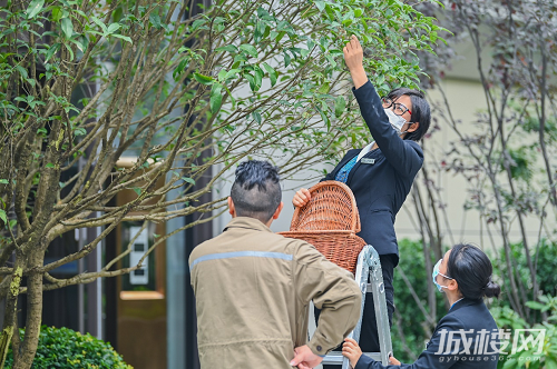 做“时间的朋友”  龙湖“善居计划”11年坚守