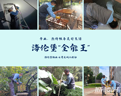 海伦堡“全能王”，用专业和热情服务美好生活