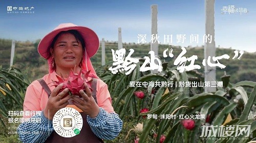 黔货出山|罗甸火龙果采摘行程公布 贵阳中海业主报名通道开启